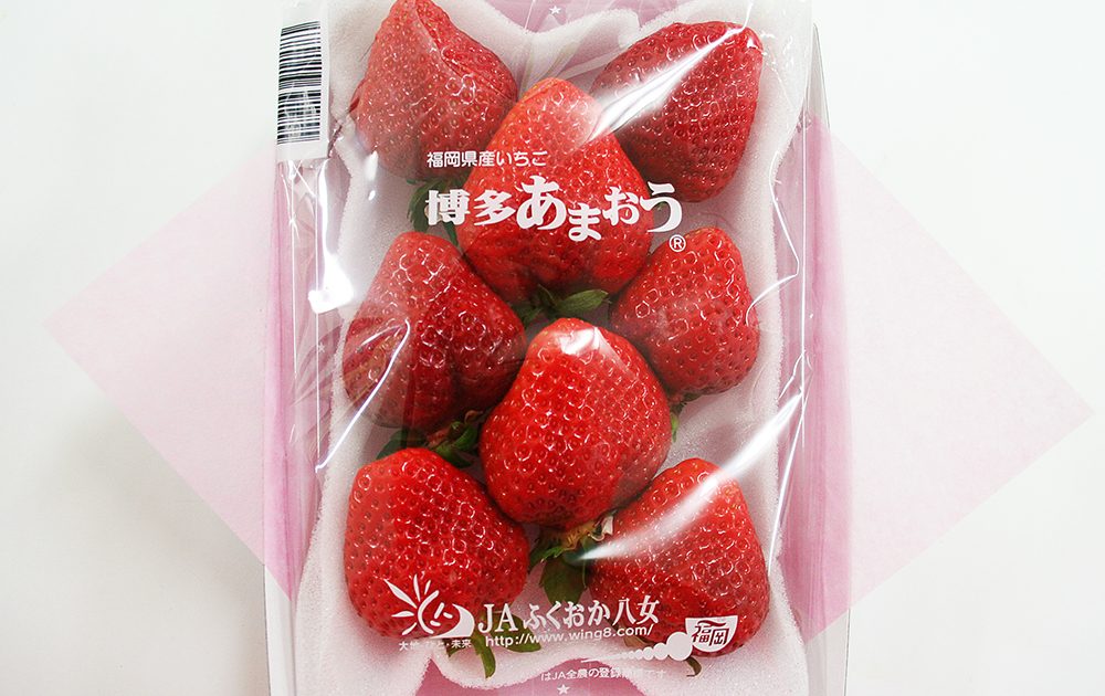 日本 福岡 甜王士多啤梨 (あまおう)