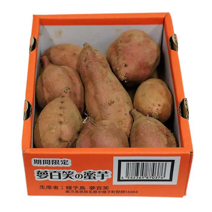 鹿兒島 夢百笑 安納芋 1KG