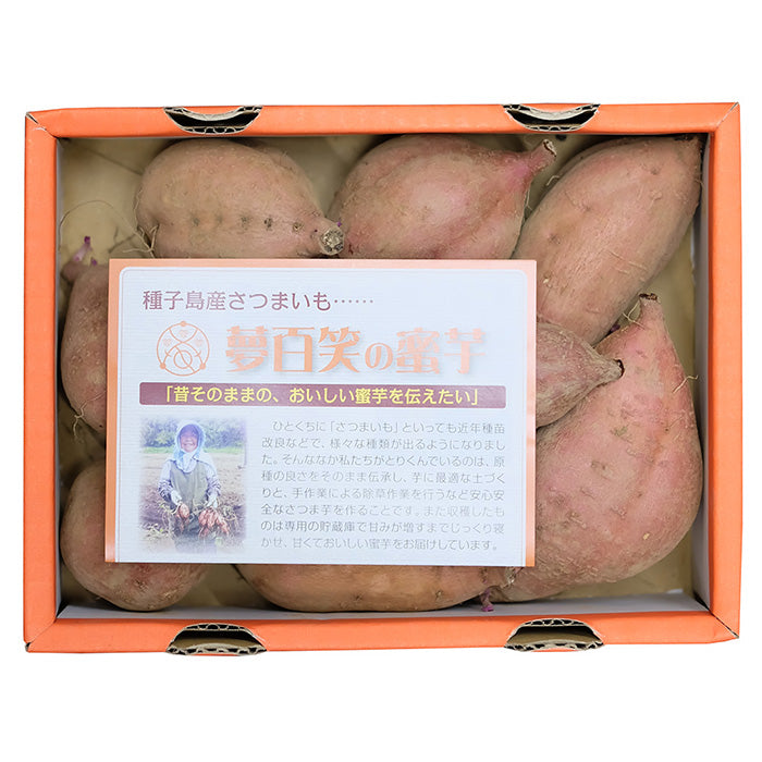 鹿兒島 夢百笑 安納芋 1KG