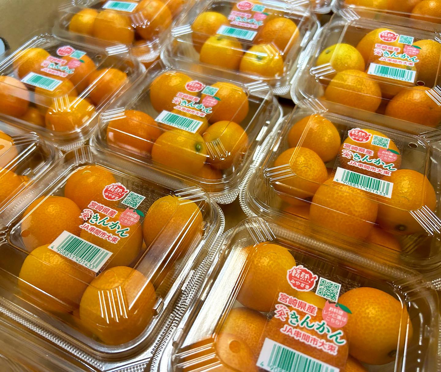 日本 宮崎 高糖度柑橘