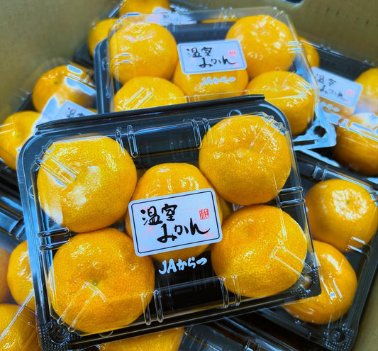 日本 Pack裝蜜柑