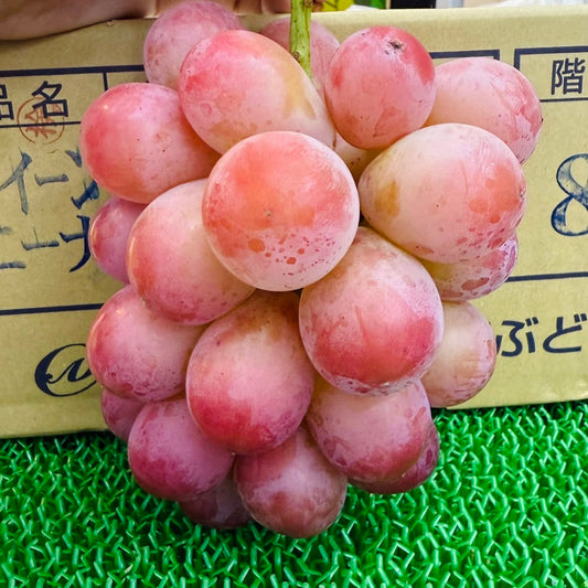 日本 妮娜皇后紅提(束)