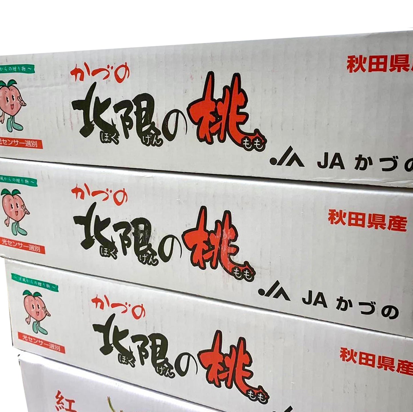 【原箱】日本 秋田北限水蜜桃 5KG (11-12裝)