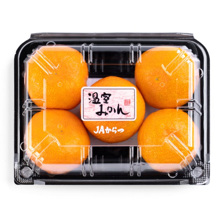 日本 Pack裝蜜柑