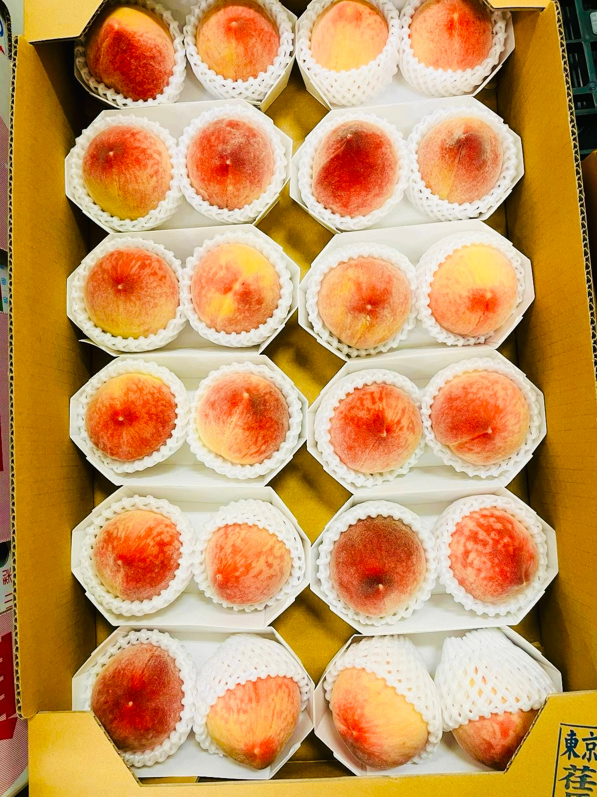 日本 山梨 溫室水蜜桃