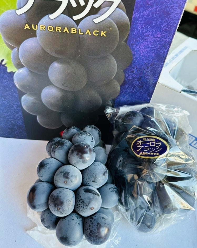【原箱】日本 岡山Aurora Black極光黑提 2KG