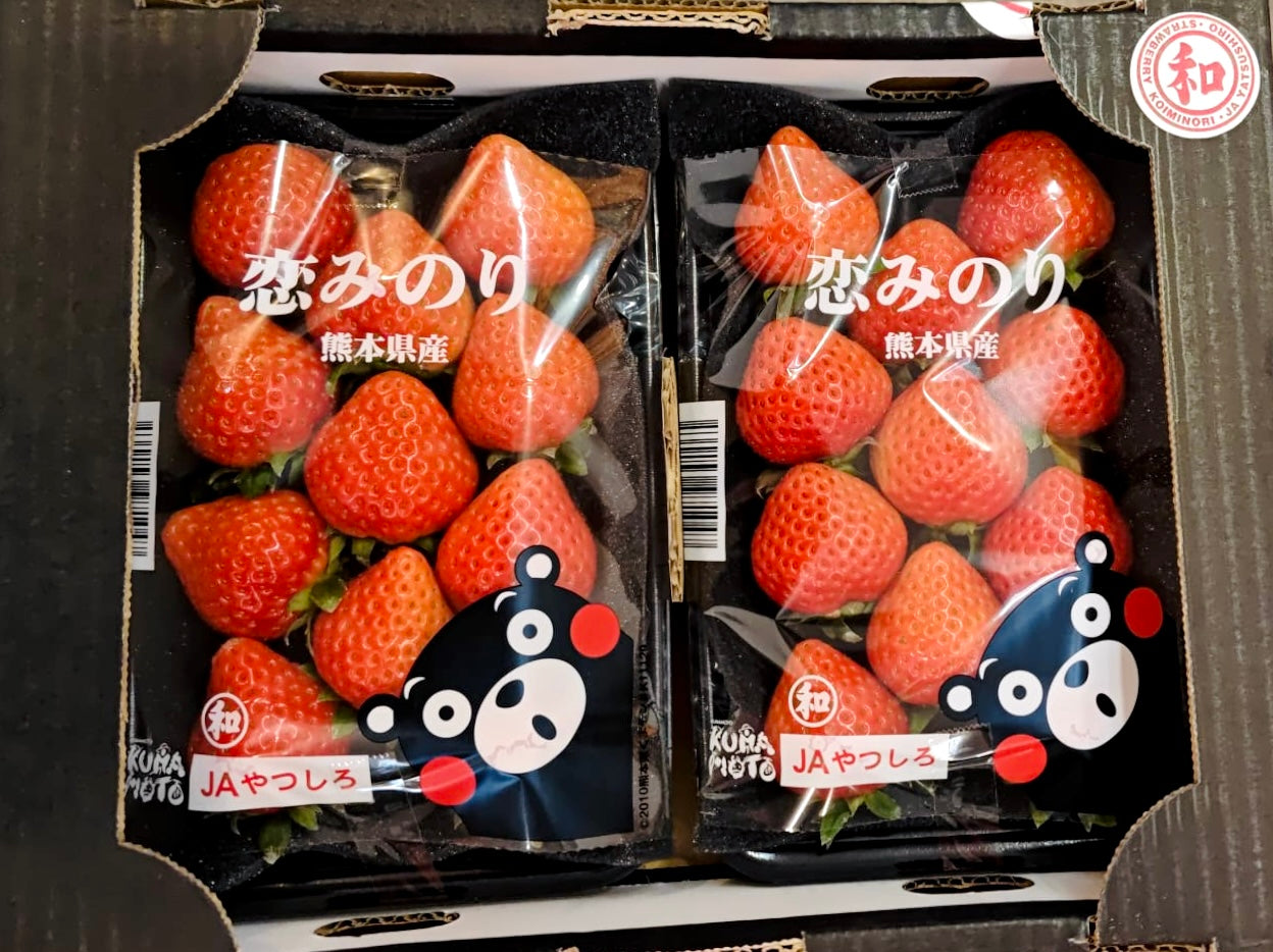 日本 熊本 戀實士多啤梨(恋みのり)