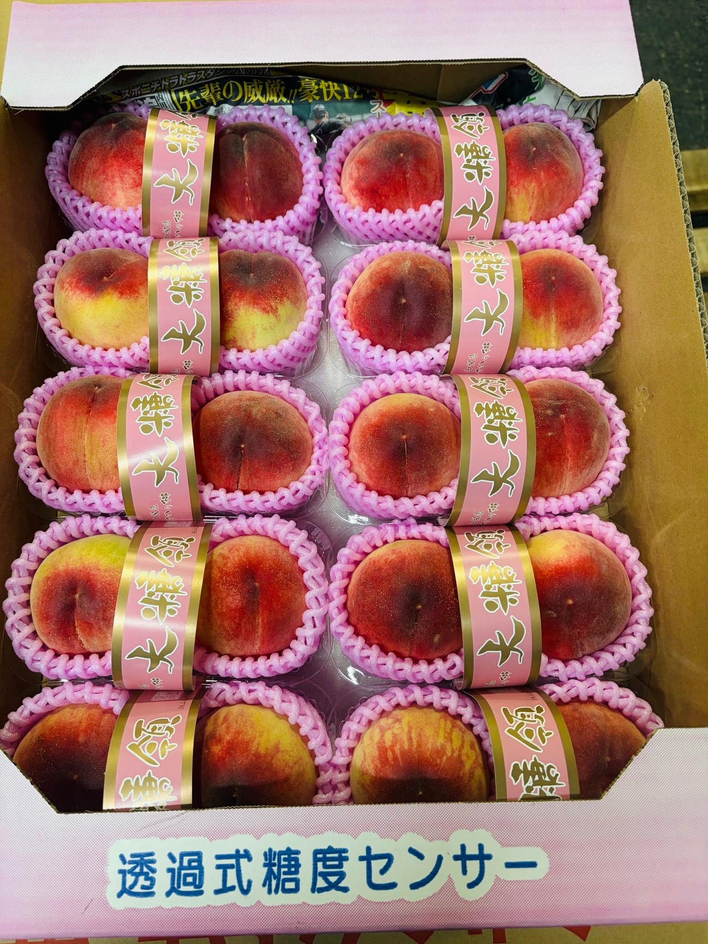日本 御坂 Pack裝大糖領水蜜桃