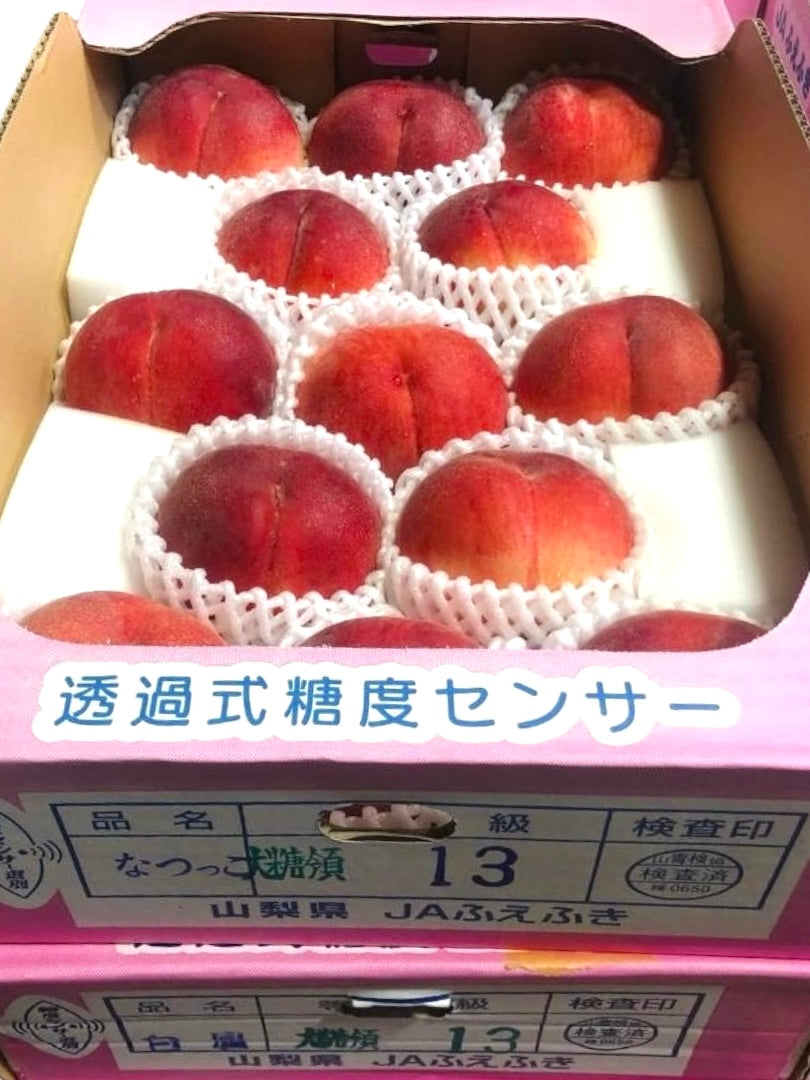 【原箱】 日本 御坂大糖領水蜜桃 5KG (13裝)