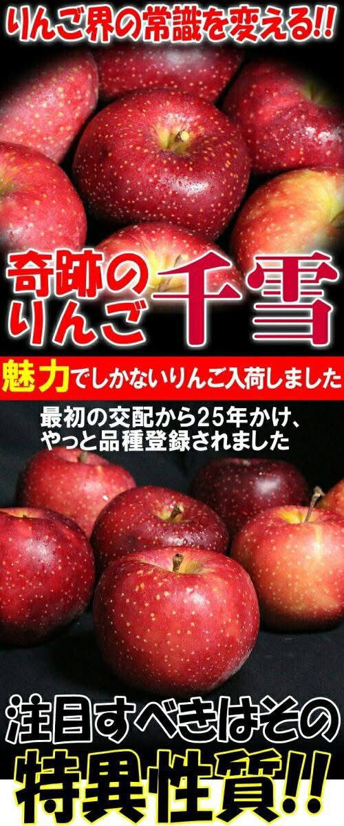 日本 青森 千雪紅蘋果