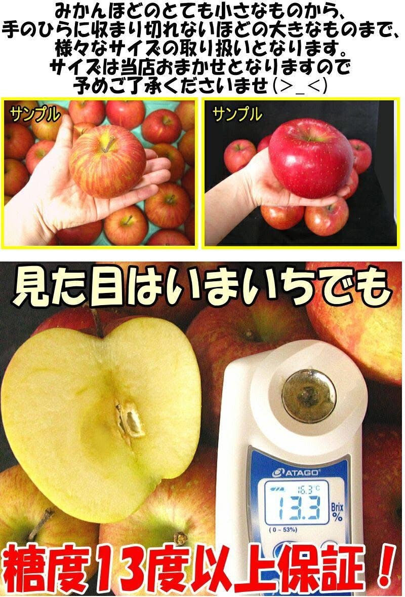 日本 青森 千雪紅蘋果