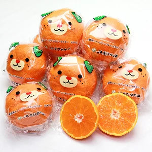 日本 愛媛縣熊仔蜜柑禮盒(獨立包裝)