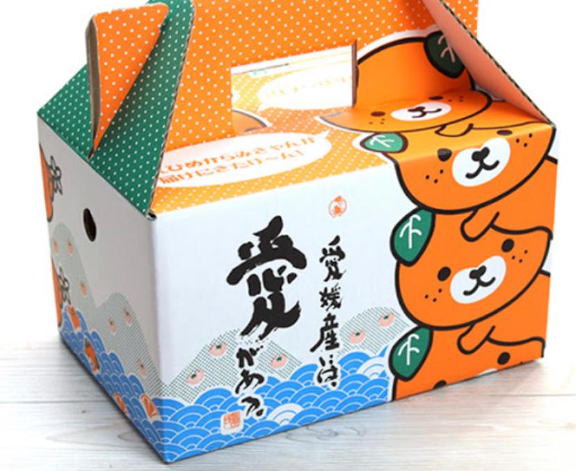 日本 愛媛熊仔蜜柑禮盒 1.8KG