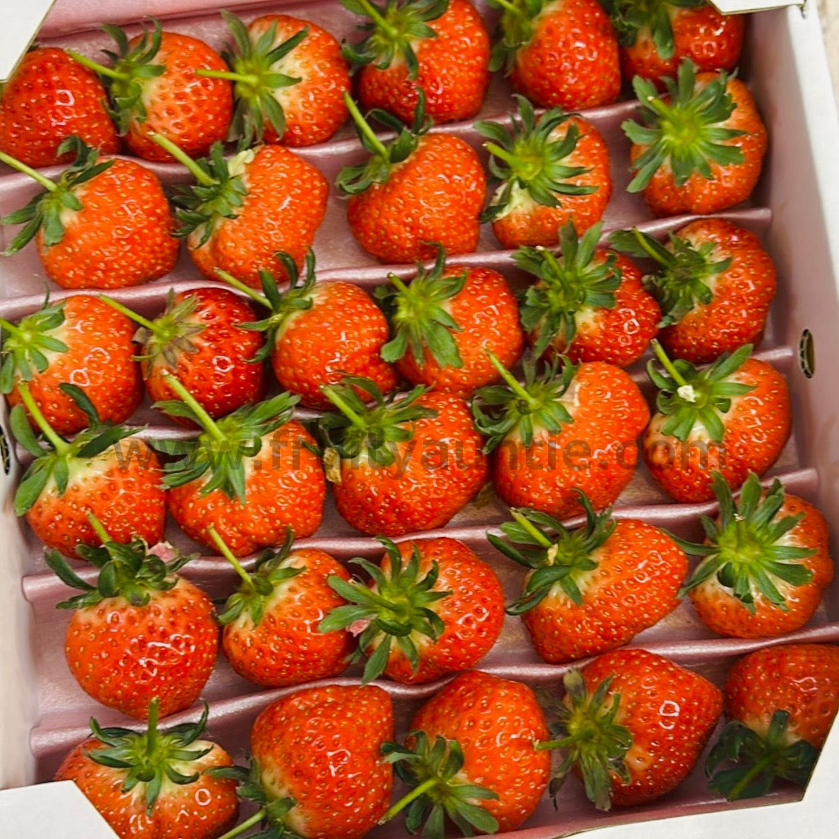 日本 香川 讚岐有柄士多啤梨禮盒🍓