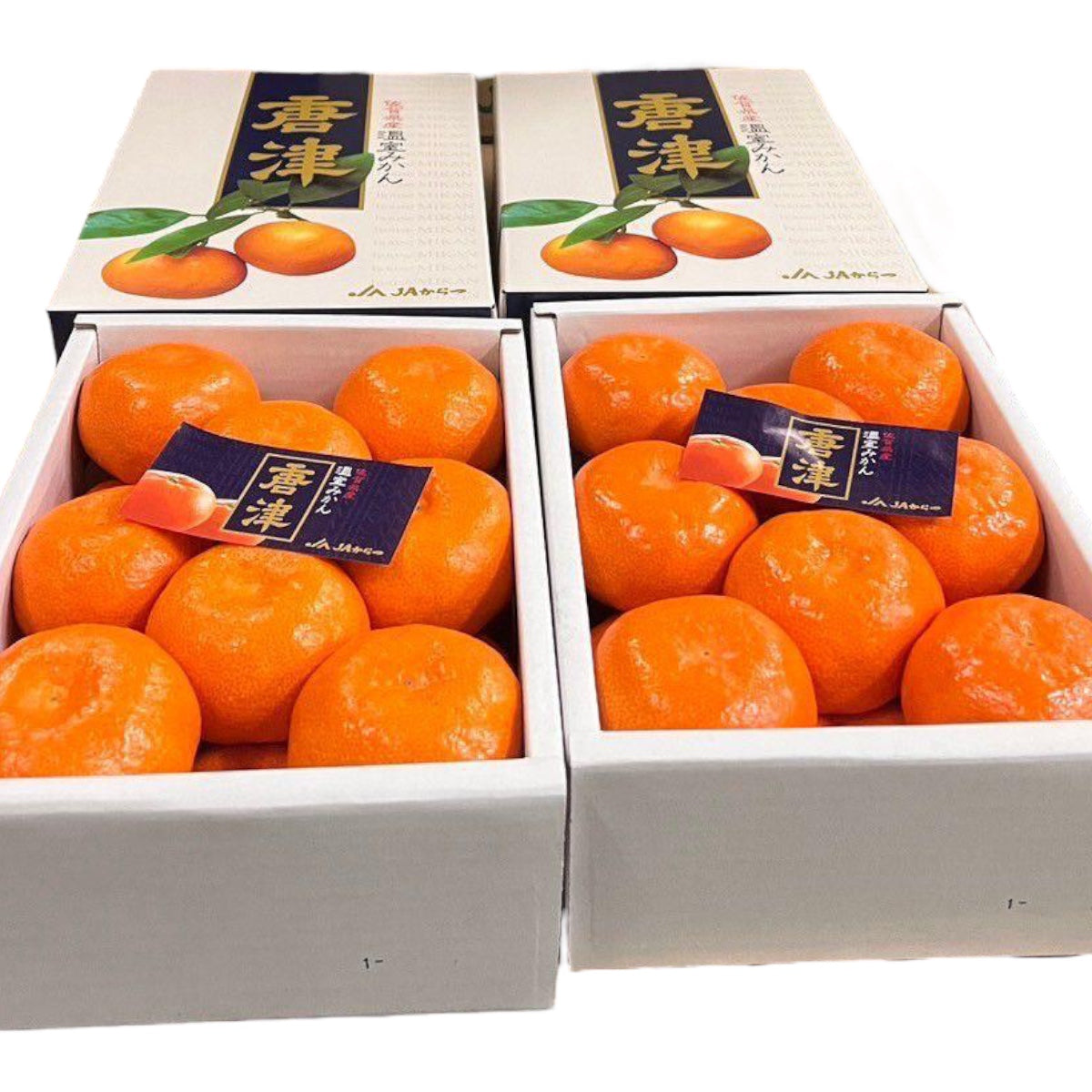 日本 佐賀唐津蜜柑禮盒