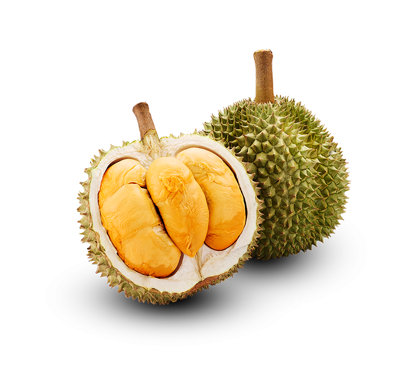 【原箱】 馬來西亞 黑刺榴槤 10KG