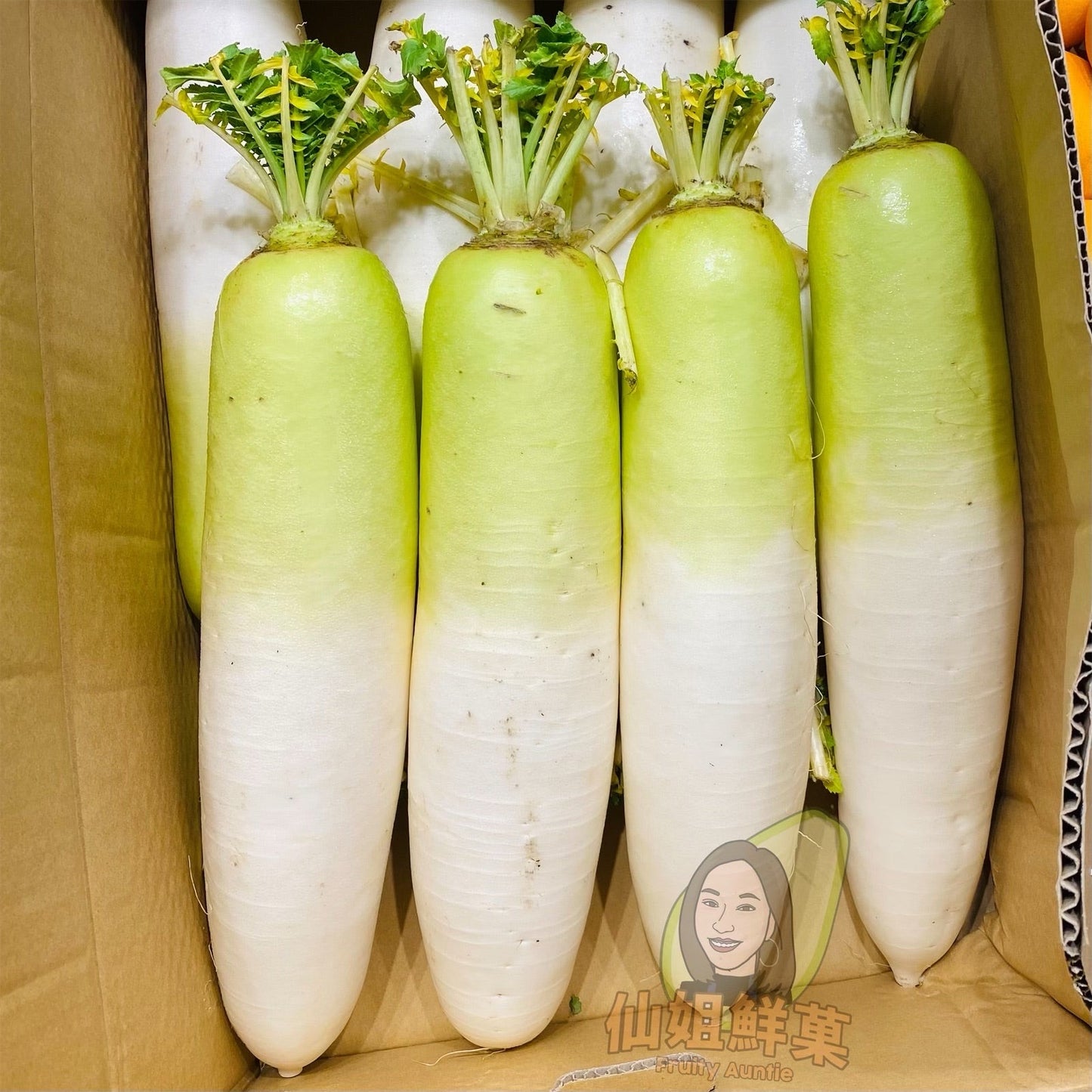 【原箱】日本 神奈川/青森 大根