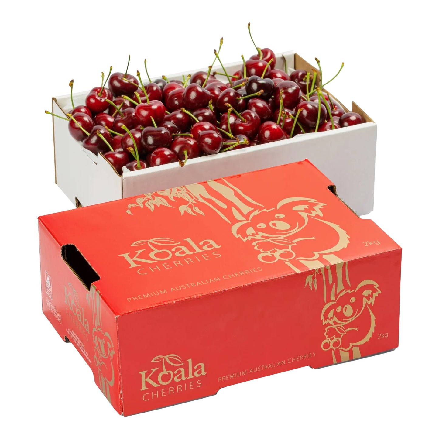 澳洲 紅樹熊車厘子禮盒 30-32mm