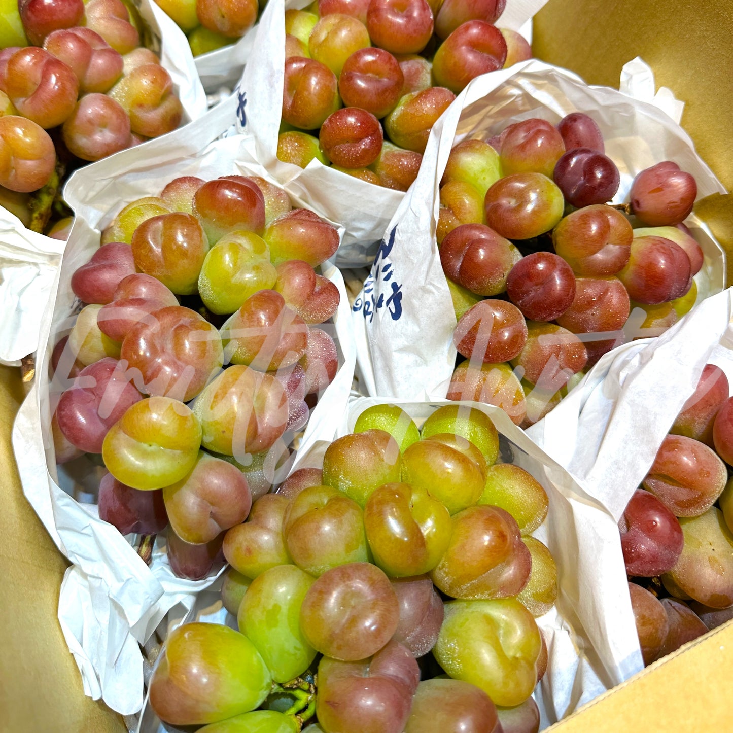 日本 岡山心型提子 (束)