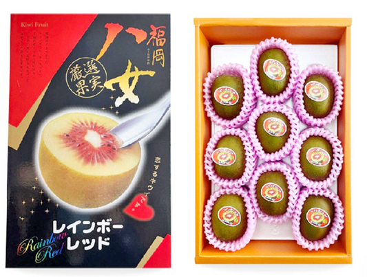 日本 福岡 彩虹奇異果禮盒
