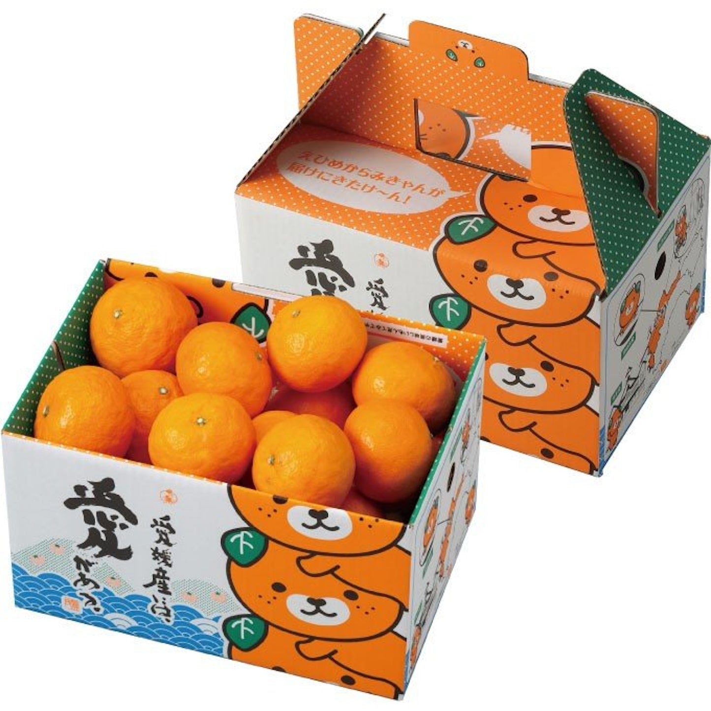 日本 愛媛熊仔蜜柑禮盒 1.8KG