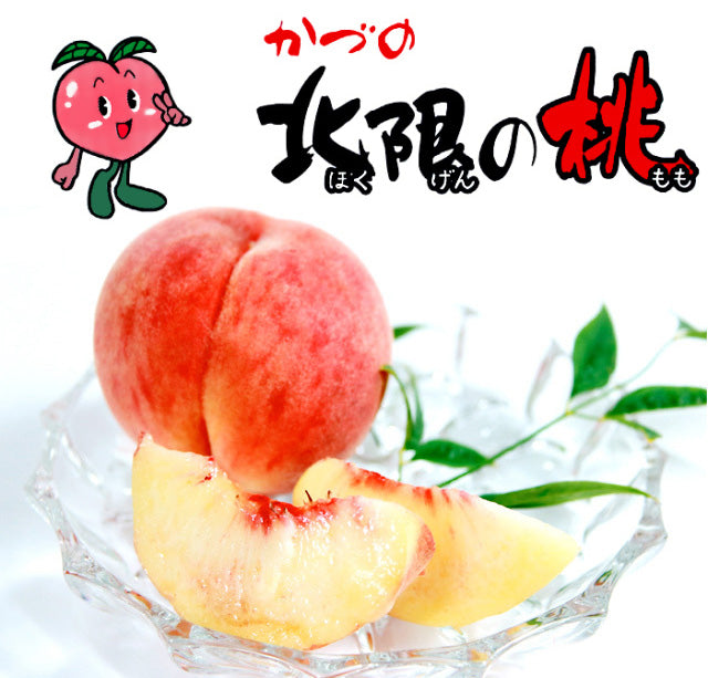【原箱】日本 秋田北限水蜜桃 5KG (11-12裝)
