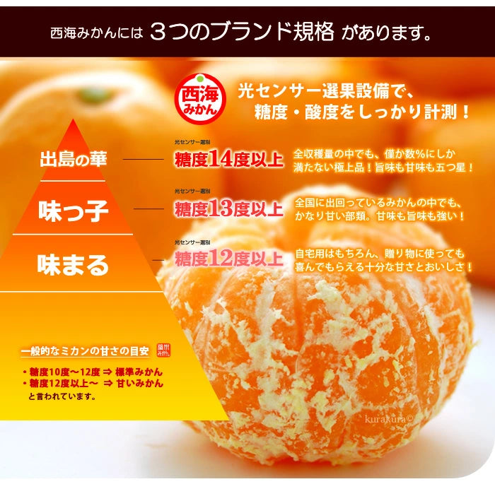 【原箱】日本長崎西海蜜柑5KG(味っ子みかん)