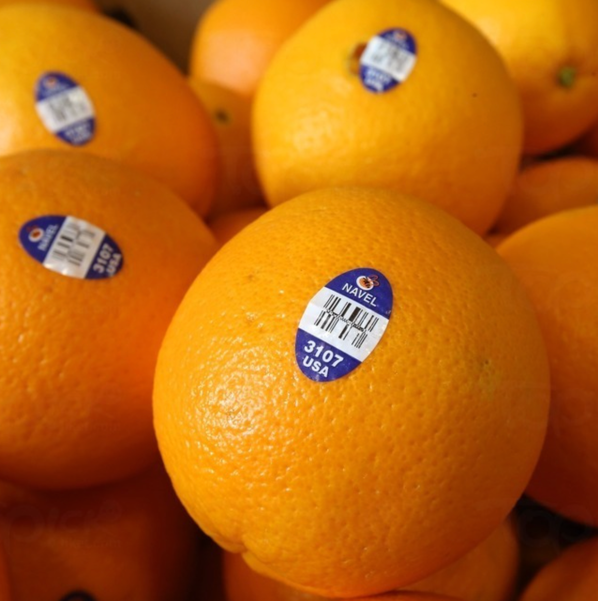 【原箱】美國 蜜蜂甜橙