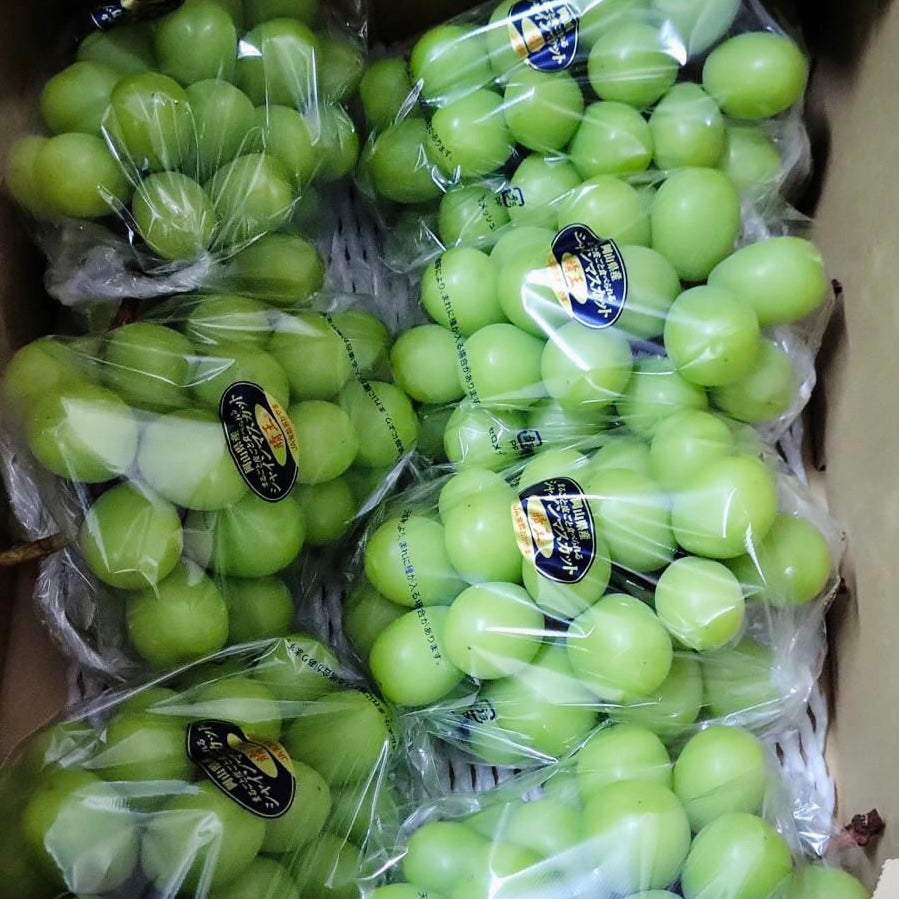 日本 岡山晴王提子(束)