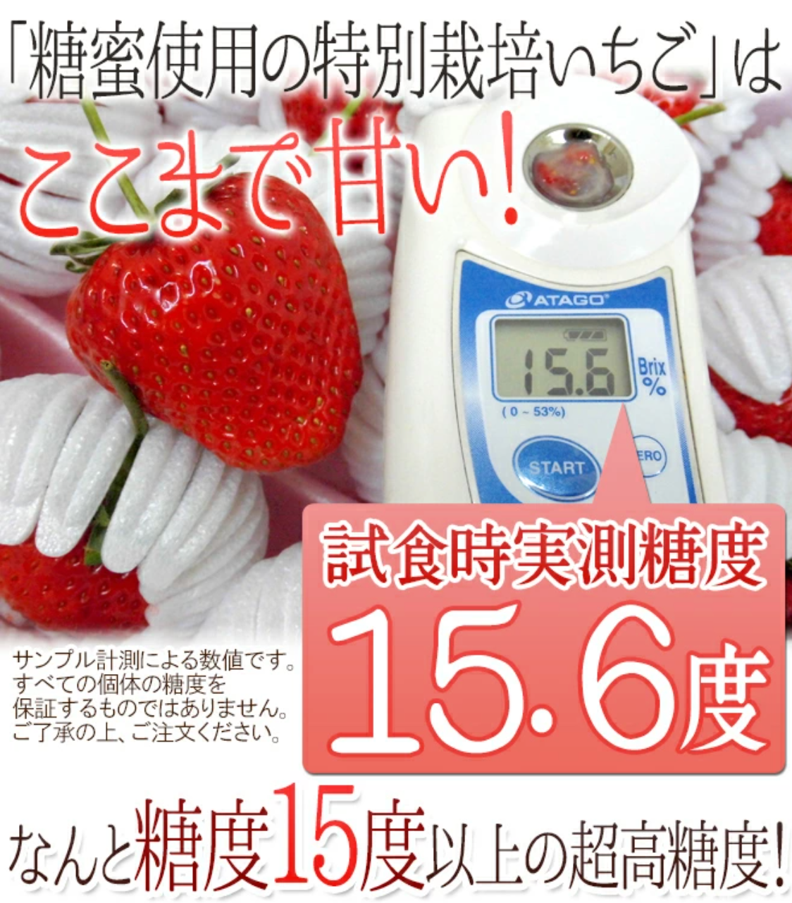 【需預訂】日本 熊本菊池糖蜜禮盒