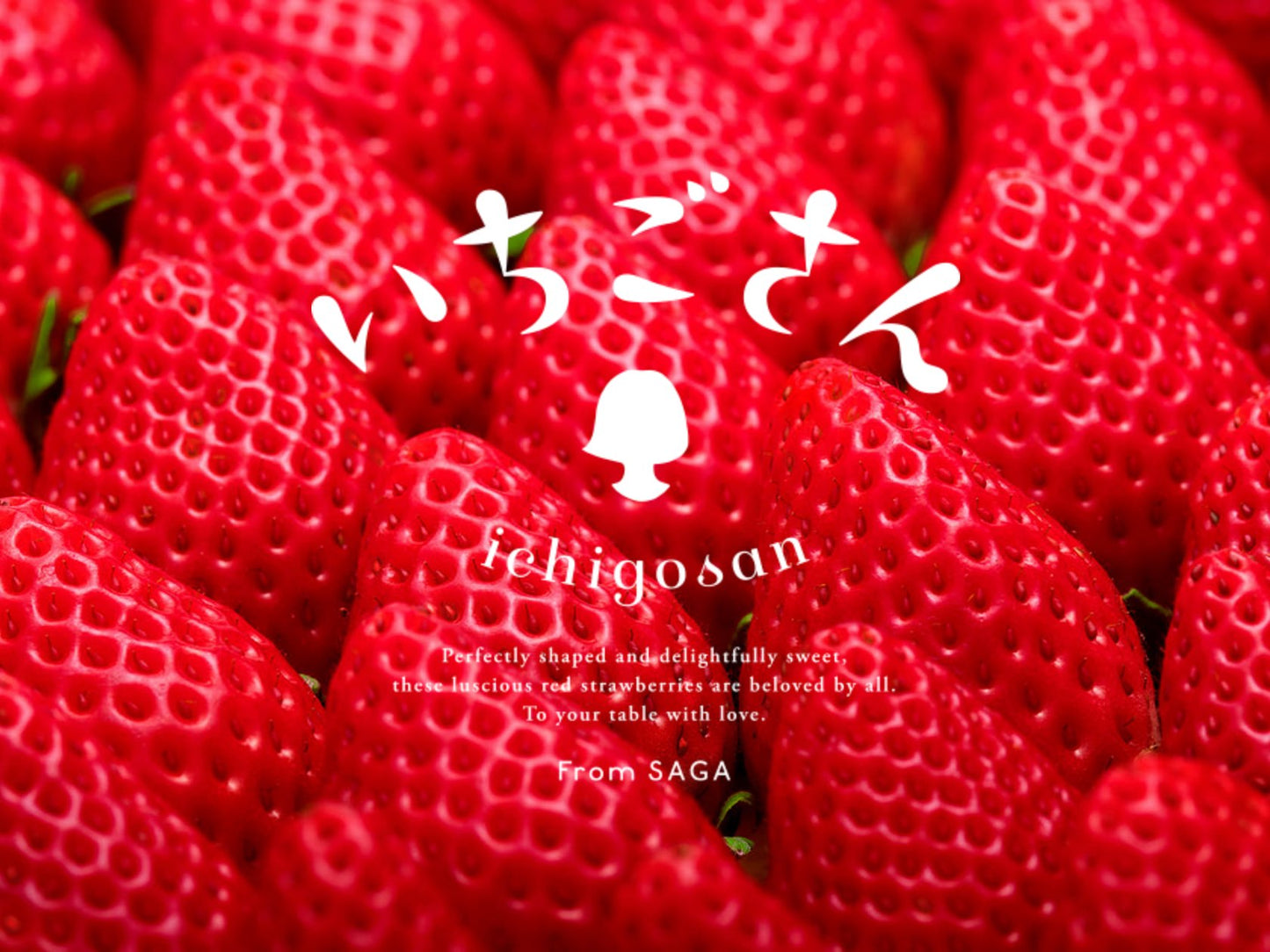 日本 佐賀小姐士多啤梨(いちごさん)