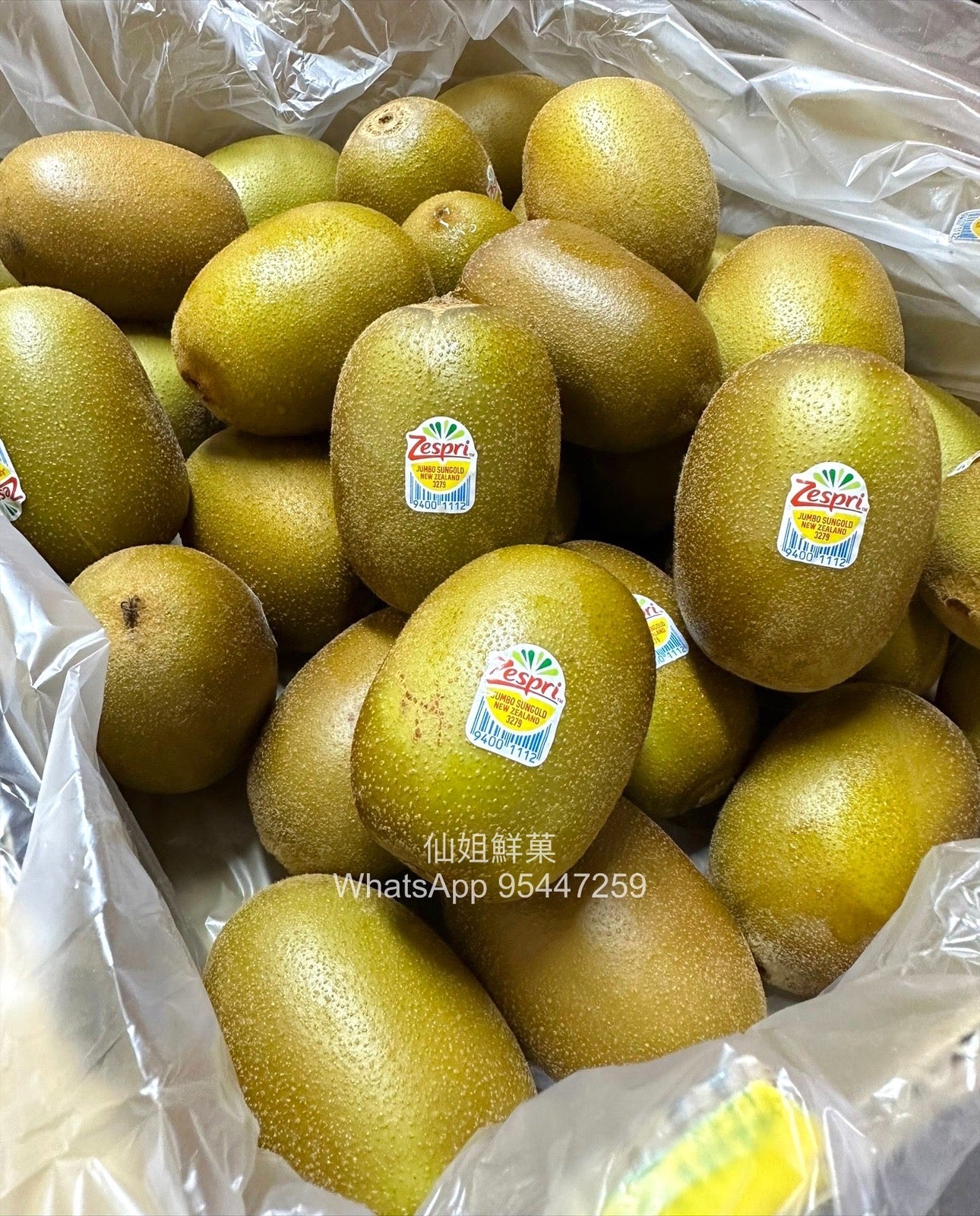 紐西蘭 Zespri® 金奇異果