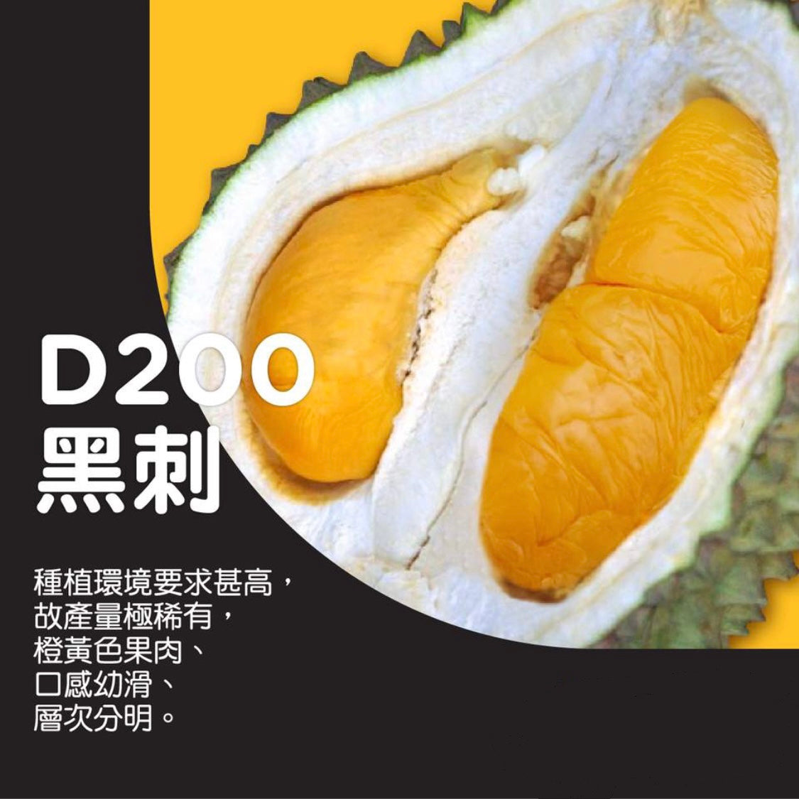 【原箱】 馬來西亞 黑刺榴槤 10KG
