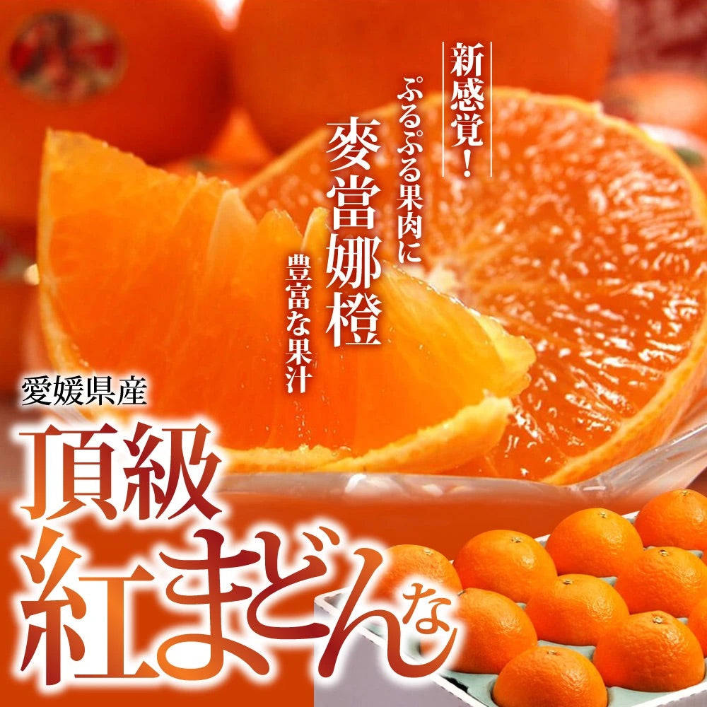 日本 愛媛 麥當娜橙(紅まどんな)