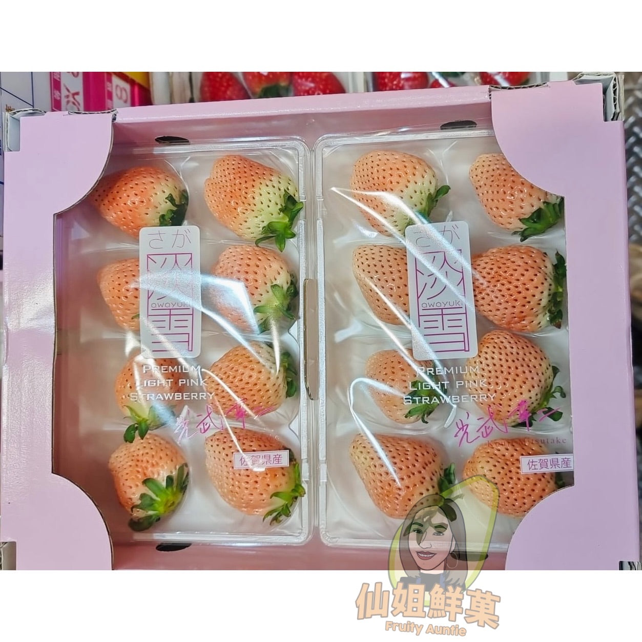 日本 佐賀 淡雪士多啤梨(あわゆき)