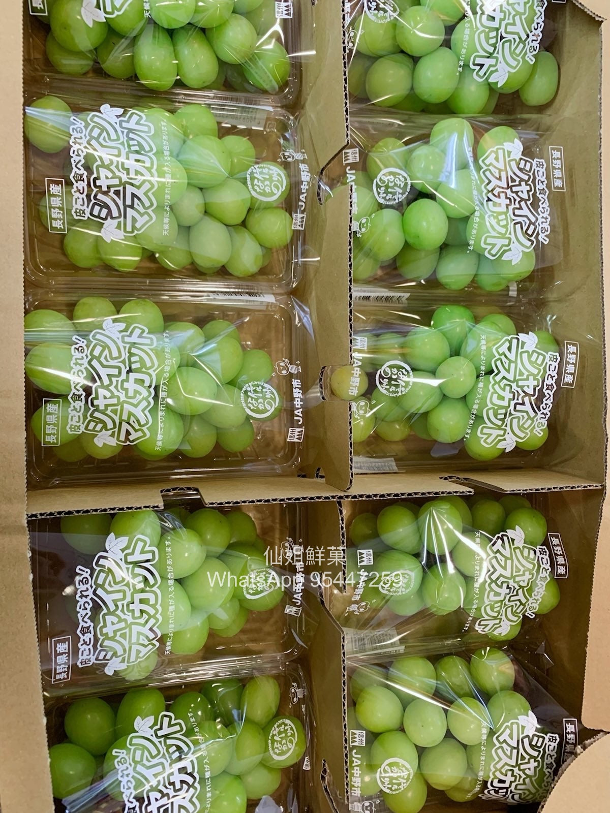 日本 Pack裝 香印提子