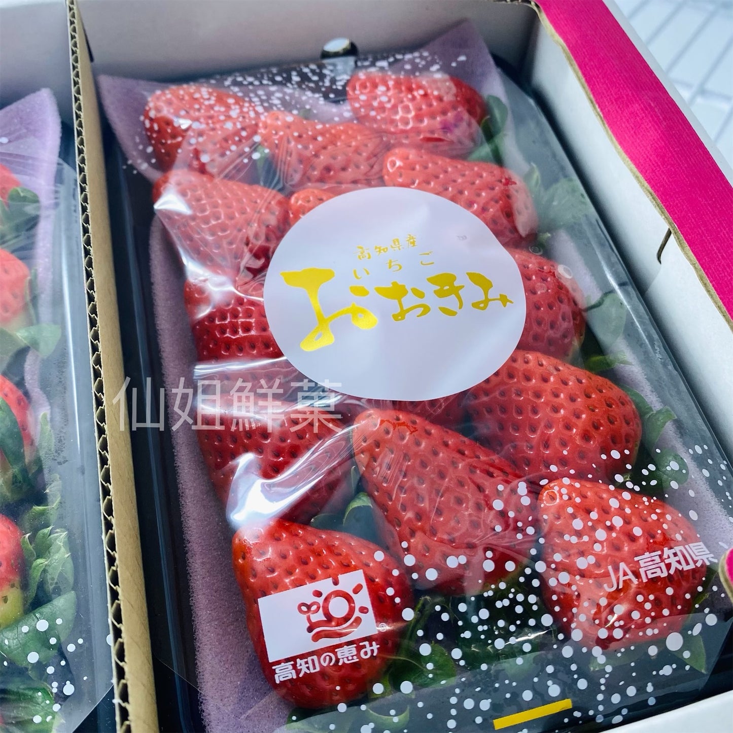 日本 高知縣 大妃美士多啤梨