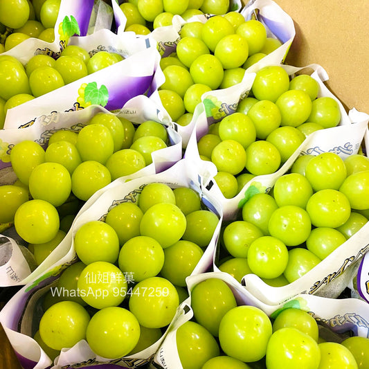 日本 長野/山梨香印提子(束)