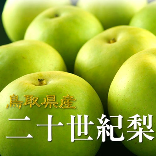 日本 鳥取 二十世紀水晶梨