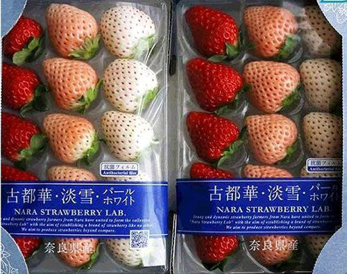 日本 奈良 古都華淡雪三色士多啤梨