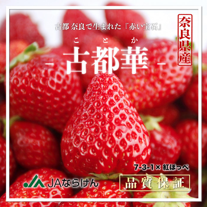 日本 奈良 古都華士多啤梨(ことか)