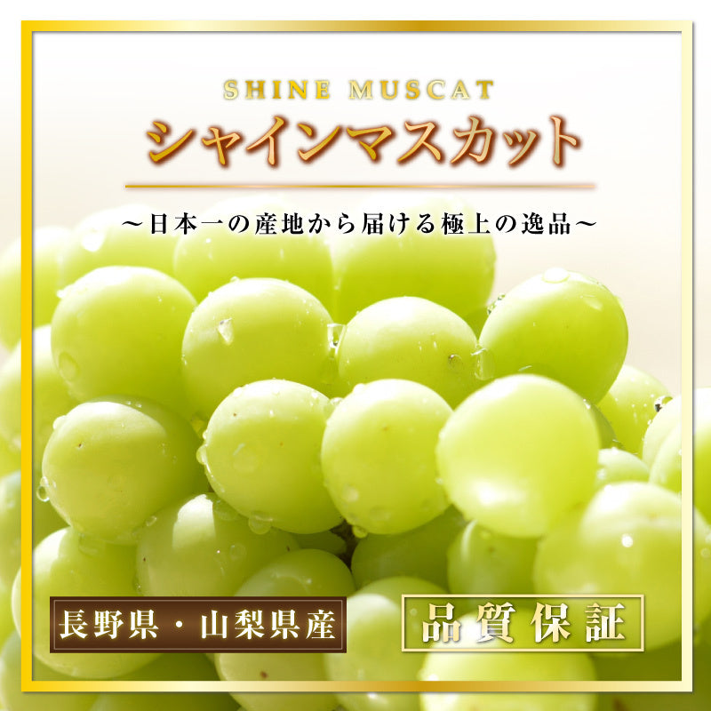 日本 長野/山梨香印提子(束)