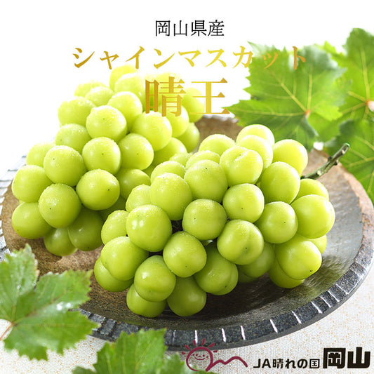 日本 岡山晴王提子(束)