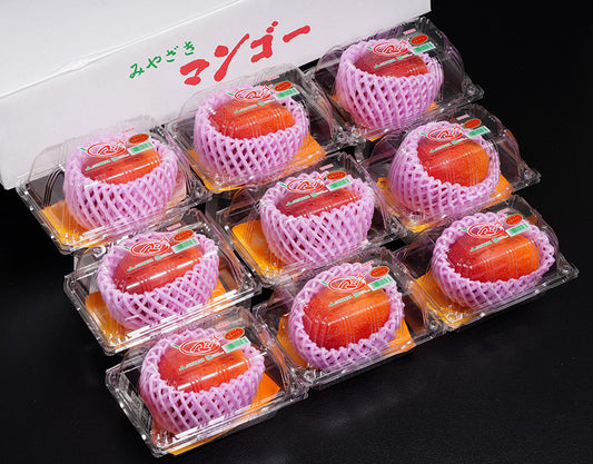 【原箱】日本 宮崎 完熟芒果