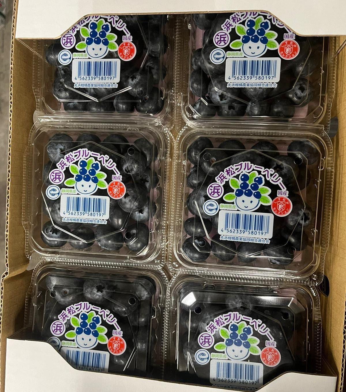 日本 靜岡藍莓
