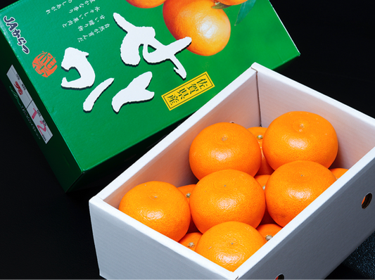 日本 佐賀 SETOKA橙/蜜柑禮盒 2.5kg