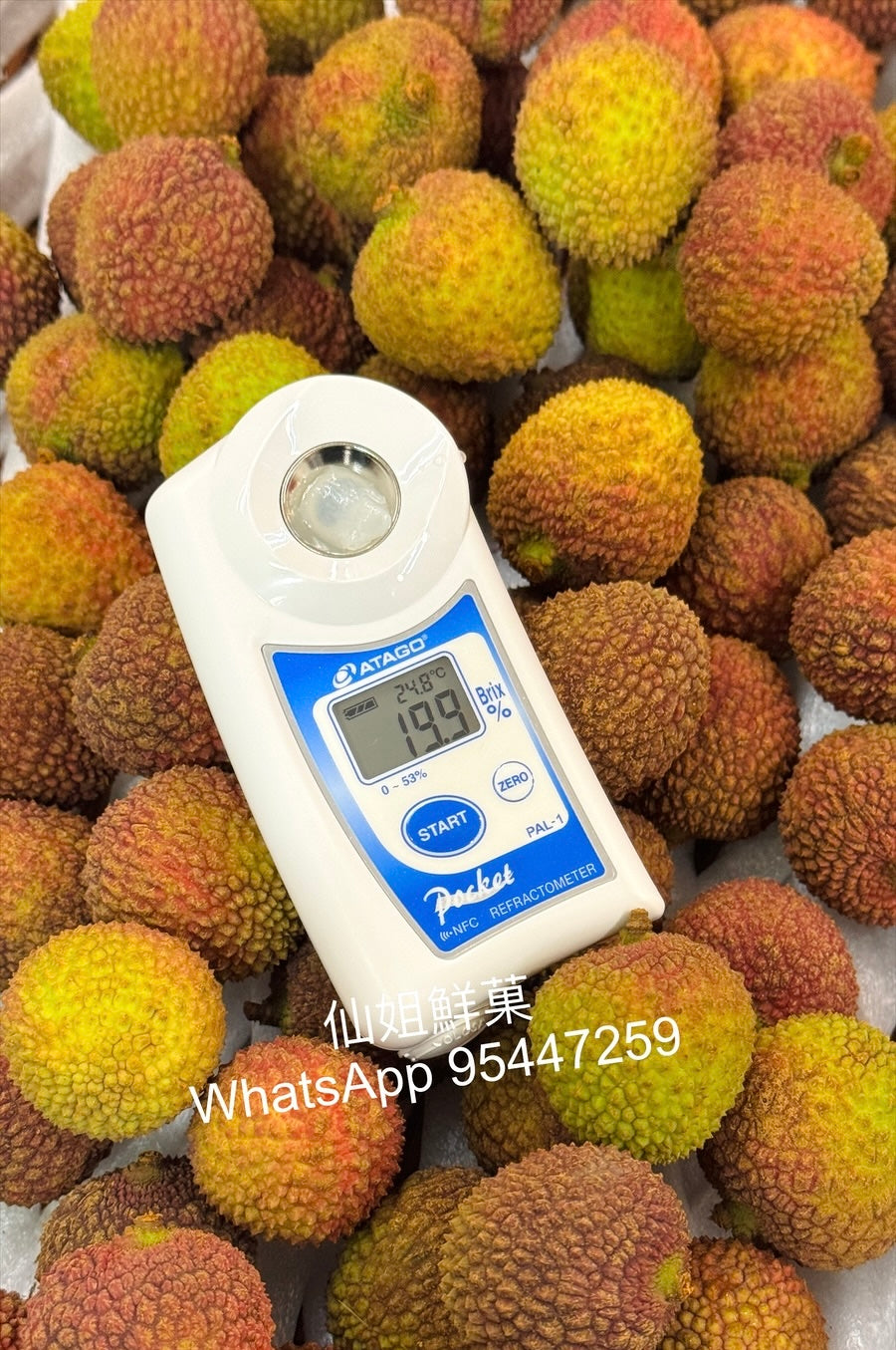 【預訂】台灣 高雄大樹🇹🇼頂級玉荷包荔枝禮盒1.8KG (34-36mm) * 5月尾到港