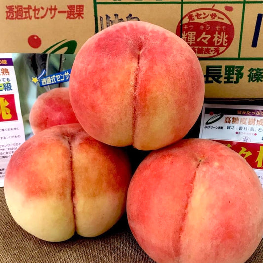 日本 長野輝輝水蜜桃15裝