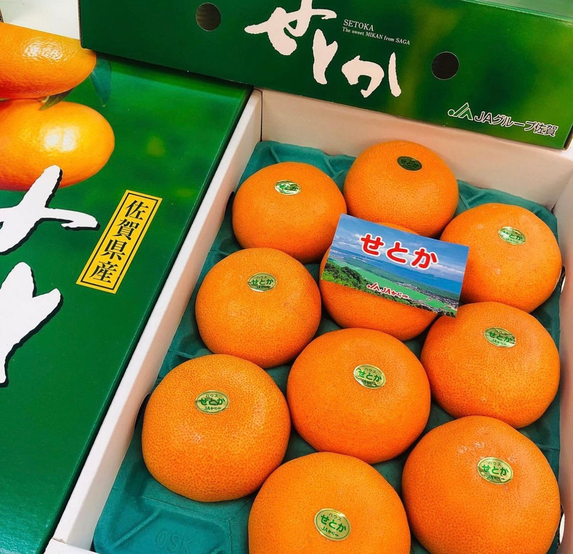 日本 佐賀 SETOKA橙/蜜柑禮盒 3KG