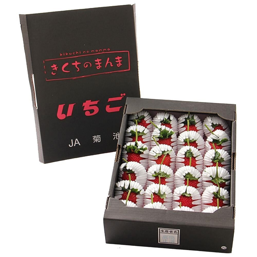 日本 熊本菊池糖蜜禮盒